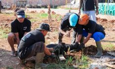 Idul Adha 1447 Hijriah, 86 Company Palembang Kembali Melakukan Penyembelihan Hewan Kurban 18 Ekor Sapi dan 20 Ekor Kambing